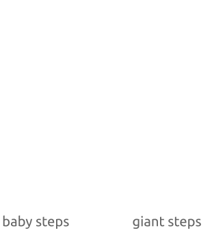 Baby-step, giant-step
